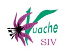 logo SIV